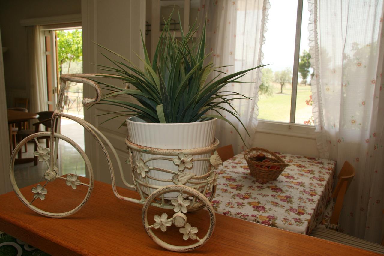 Villa Vlichos アマリントス エクステリア 写真